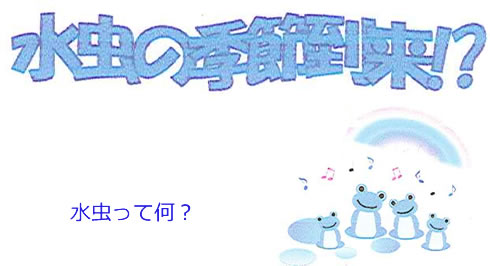 水虫の季節到来